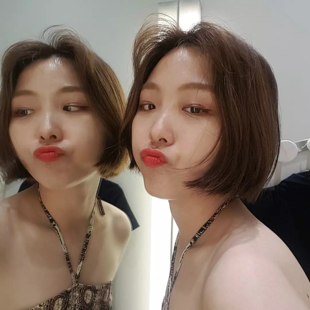 디앤써의 일상